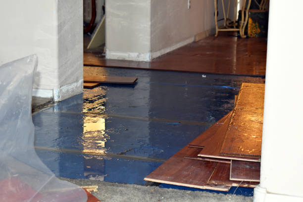 Professional Sewage Cleanup technician working in Quincy, IL